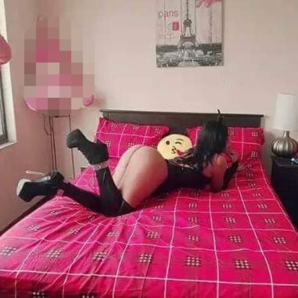 13155679-A13.jpeg